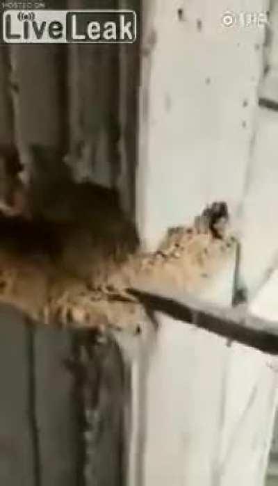 Saw this, thoughts on validity?