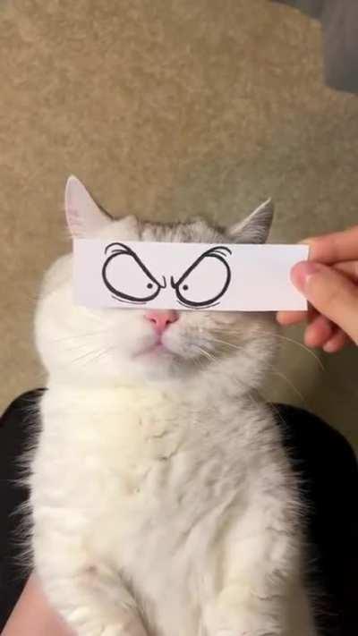 Cat the Method Actor 