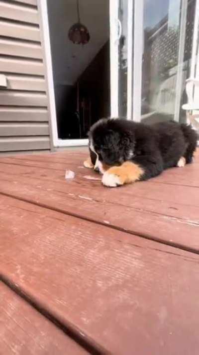 Dave there is something different about my water today and I love it!