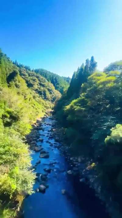 Roberto Merhi's chorizo