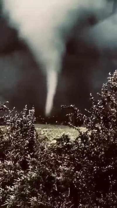 The leaves of a tornado go 'round & 'round