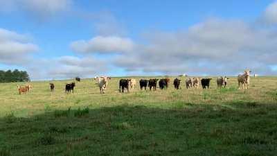 Guess who wanted a snack this morning