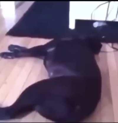 He has his priorities straight