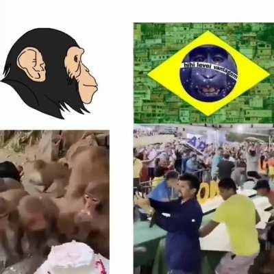Macacos vs brasileiros médio