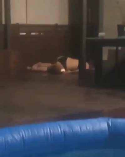 HMC while I get out this pool