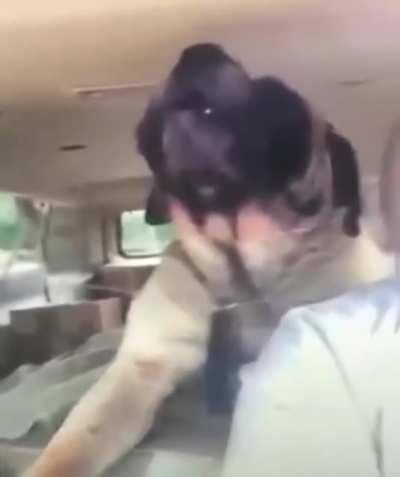 Dog with a deep voice singing along