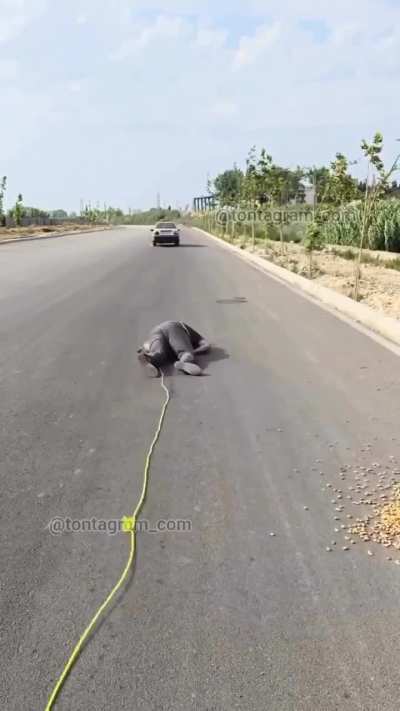 At least he’s a good sport about it