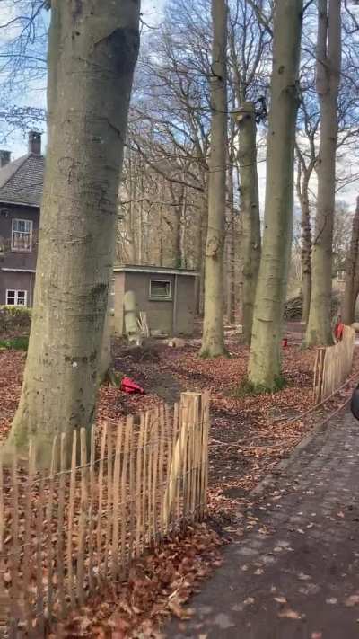 Risky drop at my workplace while ago