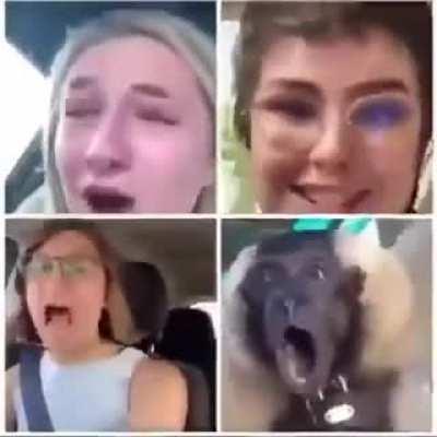 r/Eldenring tomorrow whatever happens