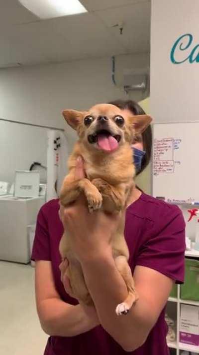 Лупоглазик