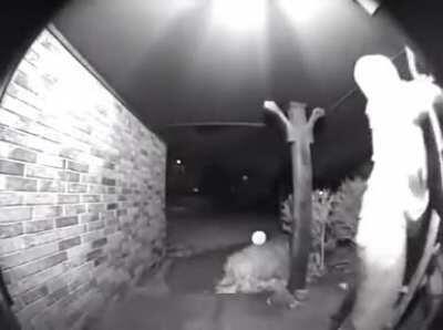 B̟̫̠͓̜͉̠̯̣̮͉̫ͨ̎̈͐̾̊̓̅͐̈́͂́ ̮͉̜̣̤͔̺͚͍͕͉͖̰̥ͥ̌͆̾͂̈̈ͮͨ̄͋͒̎̚̚Ă͍̗̥̪̙̙͍ͪ ͇̱̘̗͚͇͉̝̬̦̘̱͚͉͈̮̞͒N͗̒ ̹̜͎̬̳̻̬̜̠̱̠̳̫͓͊ͧ͂̀ͬͤͬͪ̍͑A̮̮̥̲̳͔͙ ̟͌̍͐̽͒̃ͥ͐ͯͥ̉̂͊́ͪ͒ͤ̆̄̐N̙͇̥̗͋ͥ͛͑ͨ̌ͦ ̤̩͚͉̠̖͉̙̘Aͯ