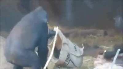 All kids,all species