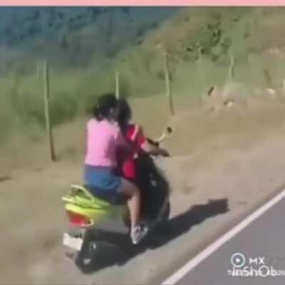 Click Here To See Idiots