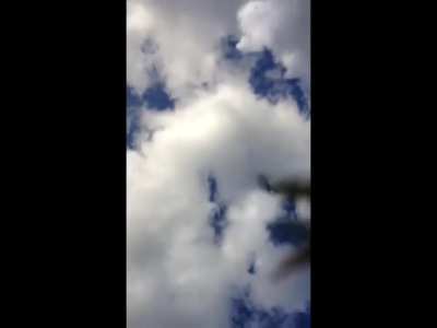 Grandma Attacked by Family Pit Bull During Ice Bucket Challenge