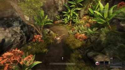 when small indie company patches video games