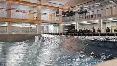 [L] just makin' some waves.