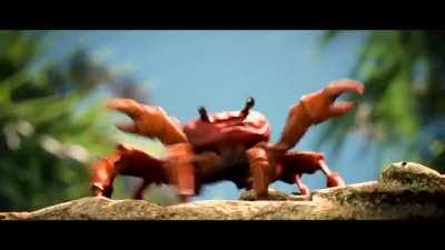 What is going on in this sub?