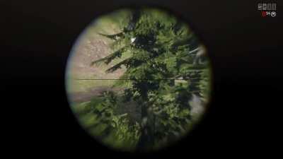 The bear minimum effort