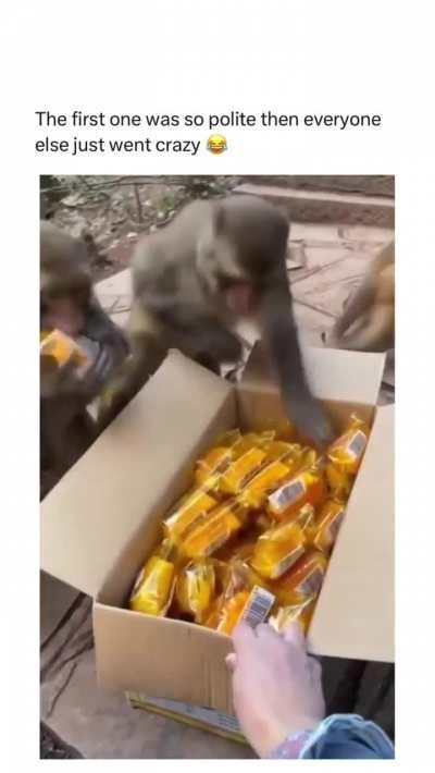 The first one was so polite