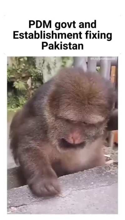 Perfectly sums up the situation in Pakistan currently