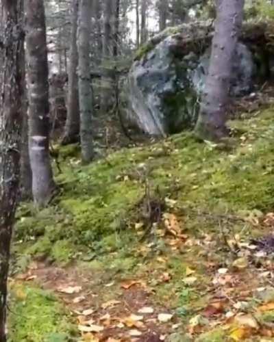 The earth is breathing.