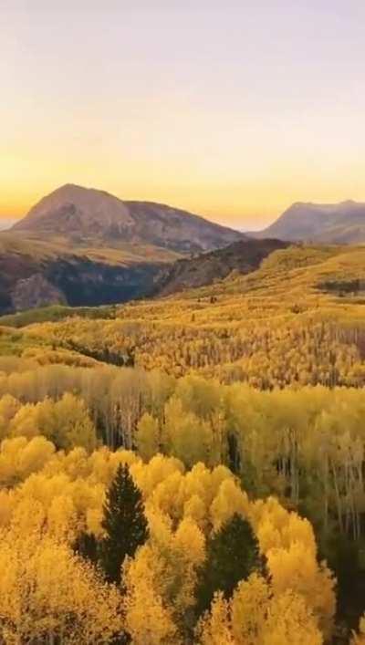 Colorado, you have really outdone yourself