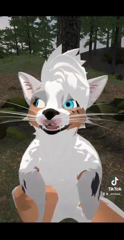 A comedic showcase of Eye/Facial Tracking in VRC