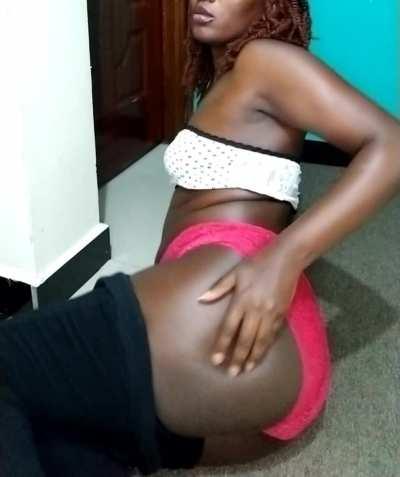 My humble contribution to your day [BA]