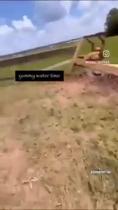 He must go His lesbians need him