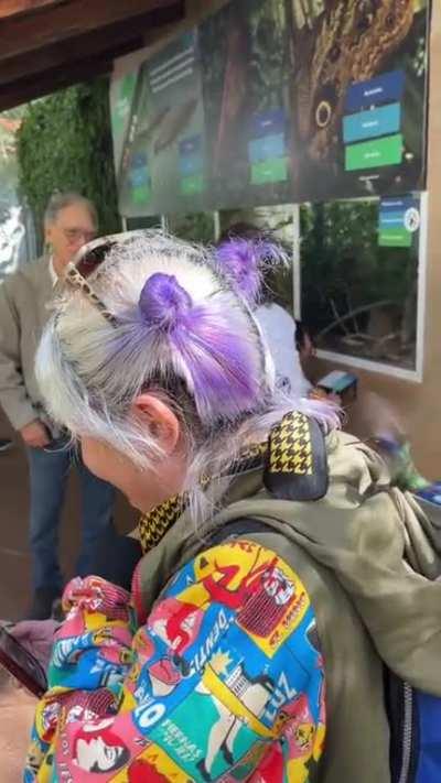 to drink nectar from a ladies hair