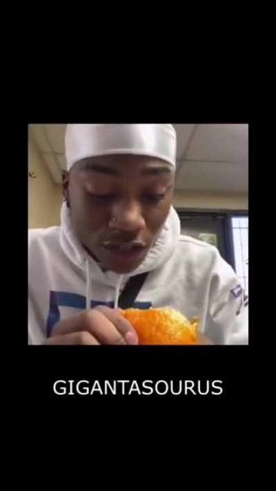 Zeus trying to remember the Dinosaur that he fought :