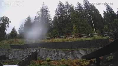 Car crash in silver valley 