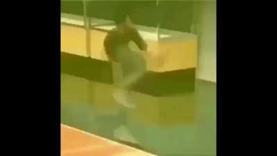 An interesting title