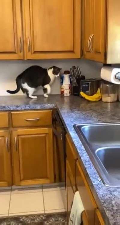 Take my punches you yellow thing!