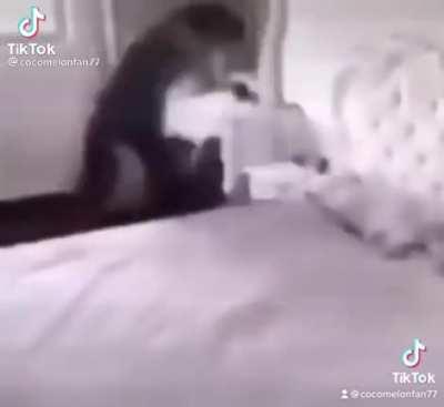 Lets have a peace on the planet earth