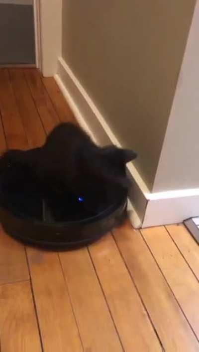 Almost in the beginning was curiosity. - Isaac Asimov