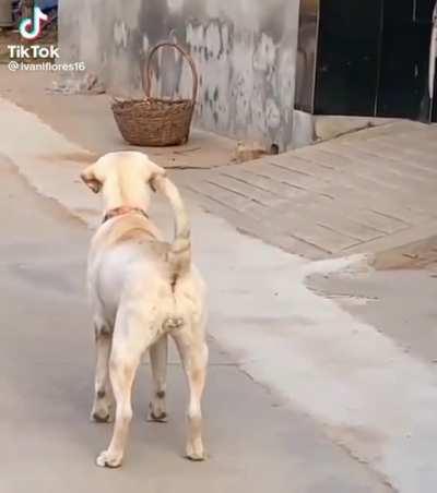 unos millennials queriendose poner al pedo 😤😤😤😤