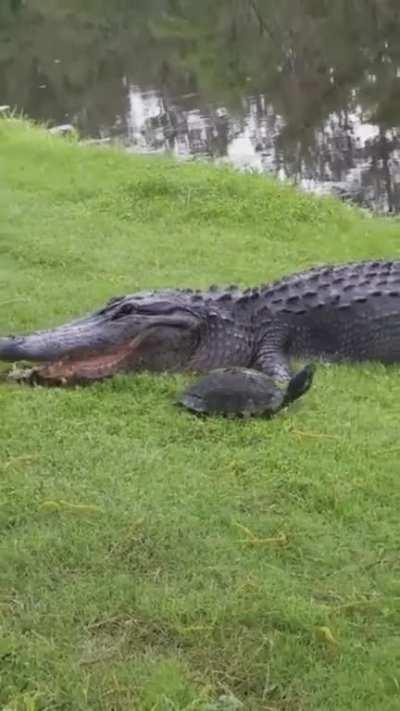 I don't know If this fits here