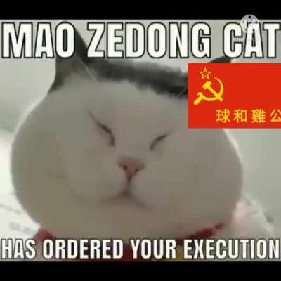 Maow Zedong