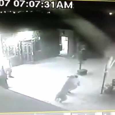 Guess he thought it was a bear.