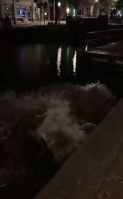 WCGW Being drunk and throwing a bicycle in the water