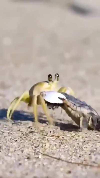 wunkus abduction 😨😨😨