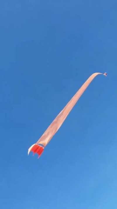 Child gets tangled in large kite tail. Takes a flight!