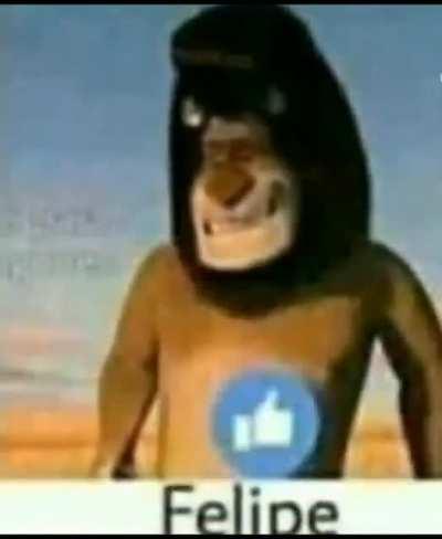 Felipe 👍