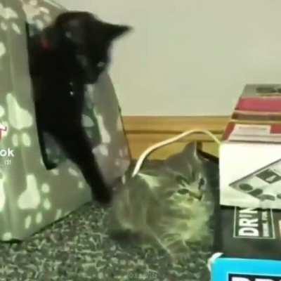 Pra que tanta violência ?