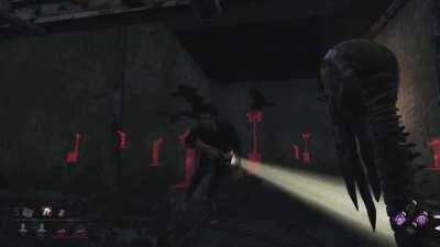 Having a wonderful time!