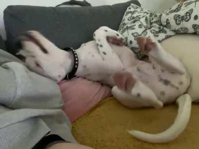 stop hitting yourself, stop hitting yourself, stop hitting yourself