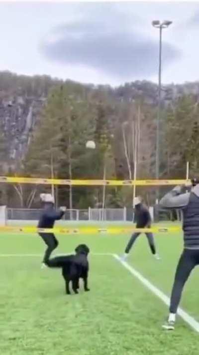 The best volleyball player around