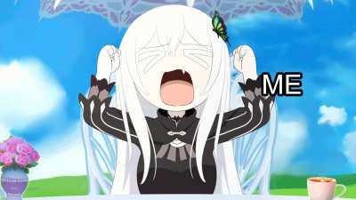 Echidna finally losing popularity be like