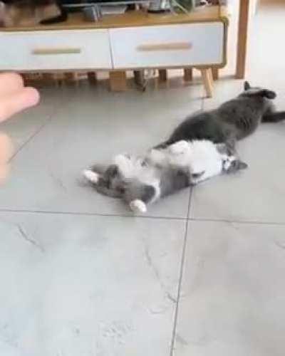 Who will win the 'acting awardee'